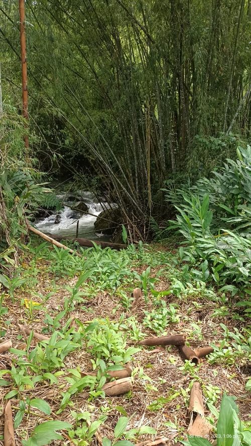 Finca en  Venta en Ulloa - Miniatura 21
