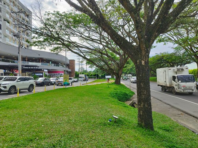 Local en  Venta en Cerritos, Pereira - Miniatura 6