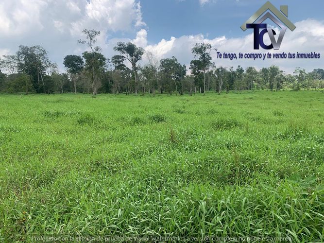 Finca en Venta en Barrancabermeja - Miniatura 3