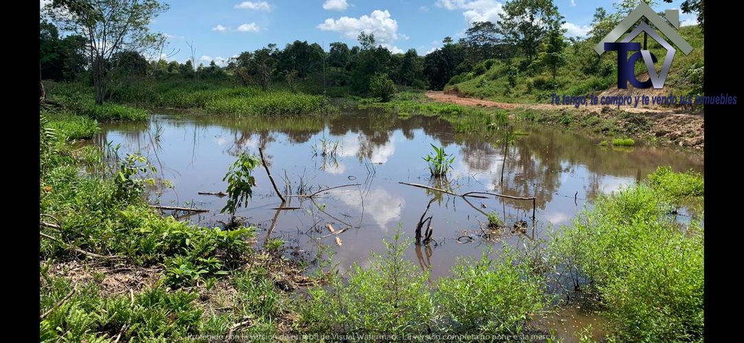 Finca en Venta en Barrancabermeja - Miniatura 4