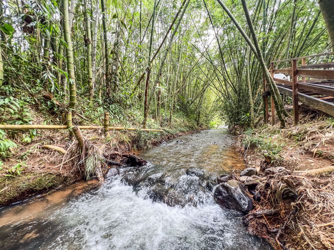 Finca en  Venta en Dagua - Miniatura 2