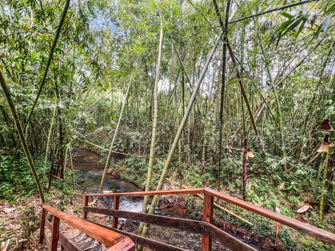 Finca en  Venta en Dagua - Miniatura 7