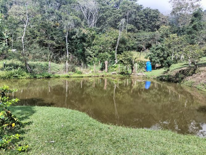 Finca en venta en Area rural, Silvania - Miniatura 29