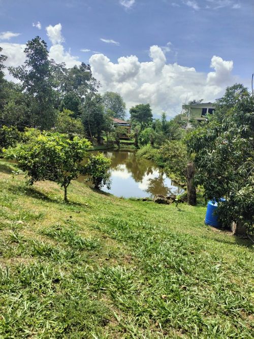 Finca en venta en Area rural, Silvania - Miniatura 32
