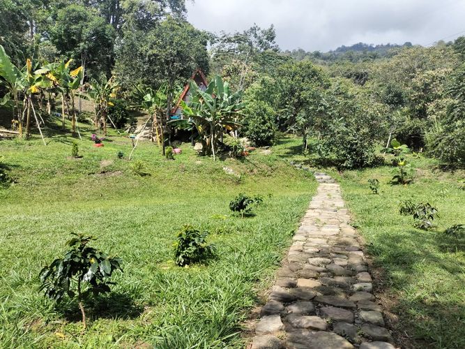 Finca en venta en Area rural, Silvania - Miniatura 36
