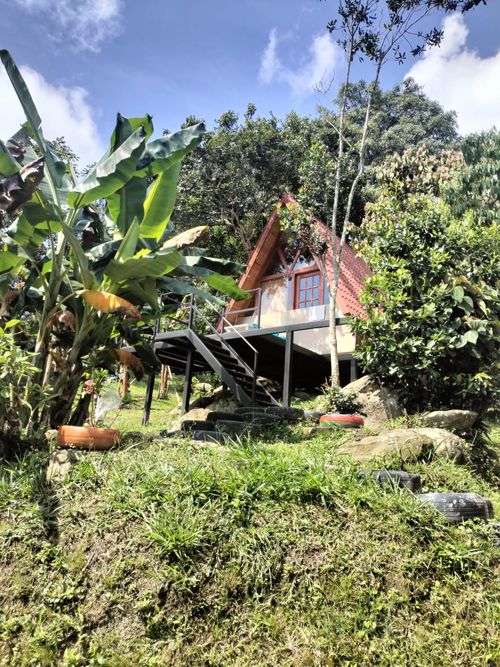 Finca en venta en Area rural, Silvania - Miniatura 40
