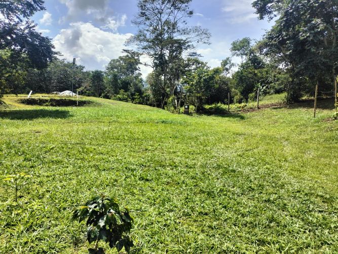 Finca en venta en Area rural, Silvania - Miniatura 49