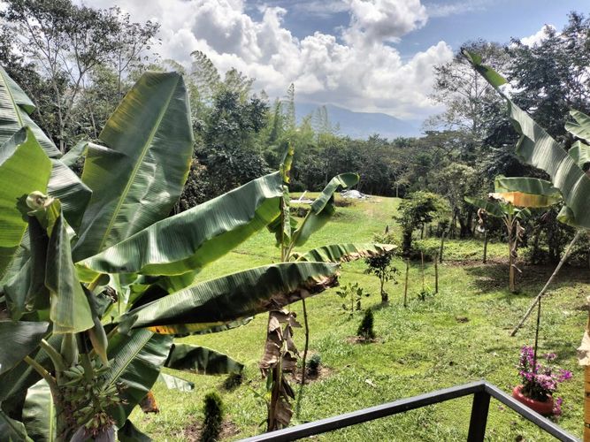 Finca en venta en Area rural, Silvania - Miniatura 53