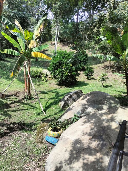 Finca en venta en Area rural, Silvania - Miniatura 56