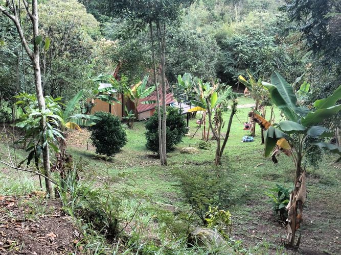 Finca en venta en Area rural, Silvania - Miniatura 59
