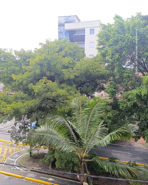 Apartamento en Arriendo en Calasanz, Medellín - Miniatura 5