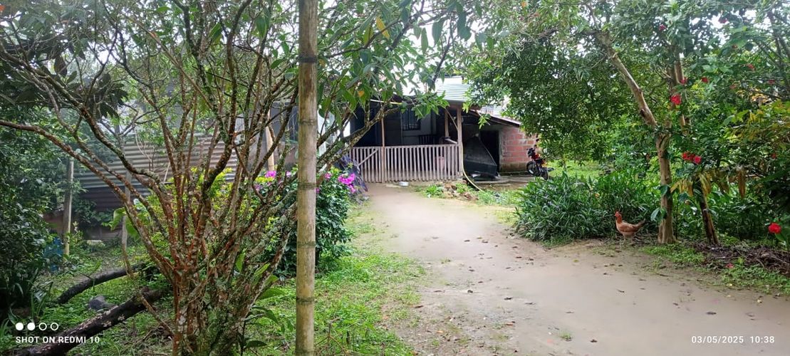 Finca en Venta en Armenia - Miniatura 4