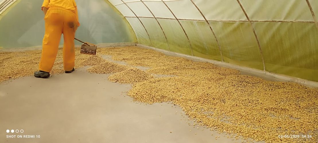 Finca en Venta en Armenia - Miniatura 6