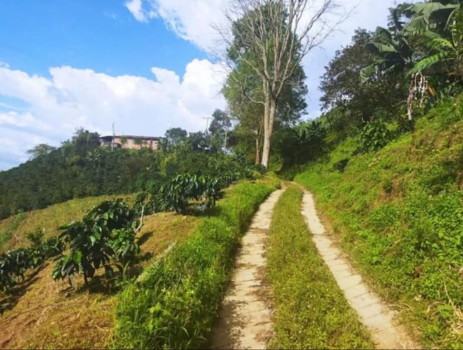 Finca en Venta en Armenia - Miniatura 10