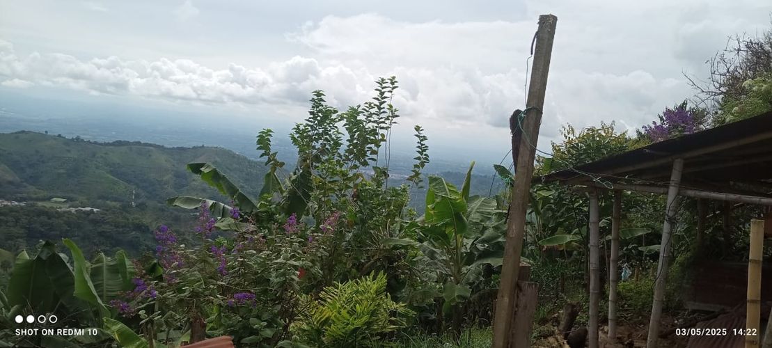 Finca en Venta en Armenia - Miniatura 12