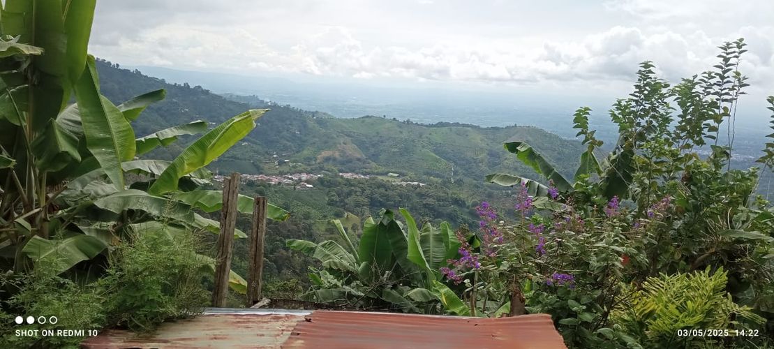 Finca en Venta en Armenia - Miniatura 18