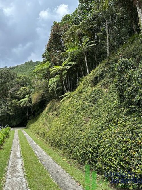 Finca en Arriendo en El Tablazo, Rionegro - Miniatura 8