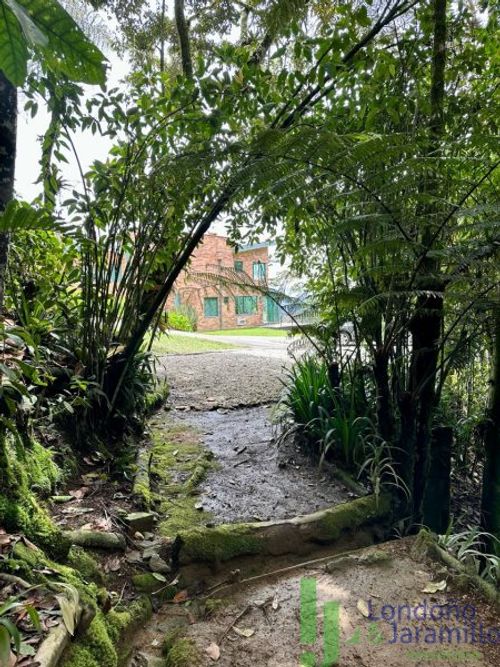 Finca en Arriendo en El Tablazo, Rionegro - Miniatura 9