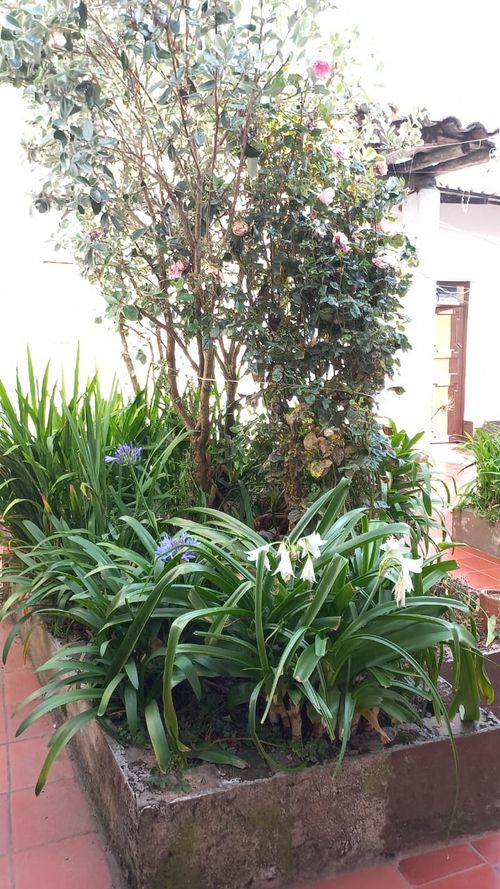 Casa en Venta en Aquitania - Miniatura 6