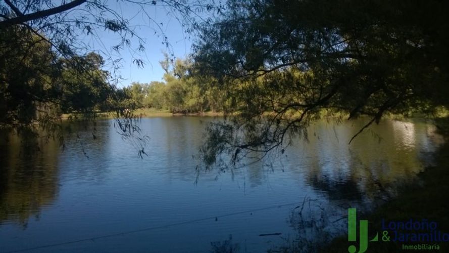 Finca en  Venta en Llano Grande, Rionegro - Miniatura 14