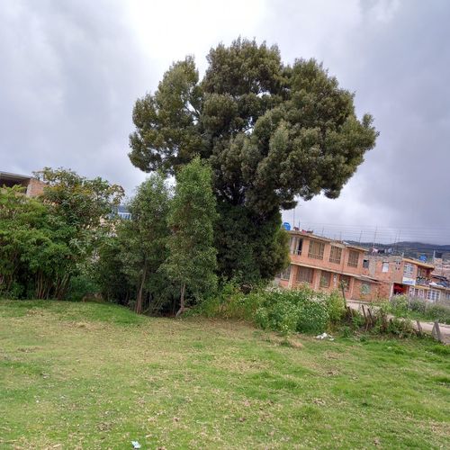 Casa en Venta en Aquitania - Miniatura 8