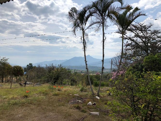 Finca en Arriendo en Espinalito, Fusagasugá - Miniatura 12
