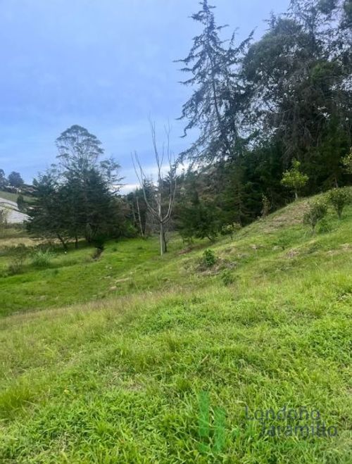 Finca en  Arriendo en San vicente - Miniatura 17