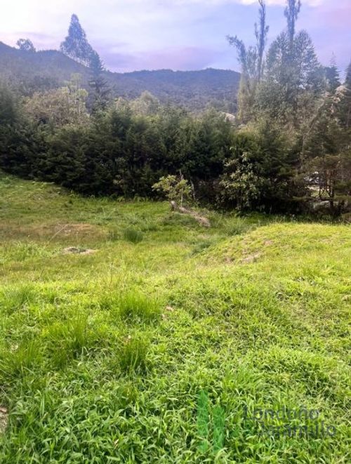 Finca en  Arriendo en San vicente - Miniatura 20