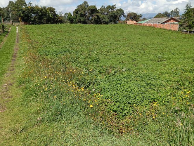 Finca en Venta en La floresta, Guasca - Miniatura 13