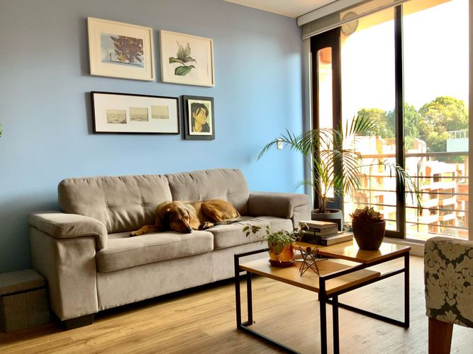 Apartamento en Arriendo en Chicó Navarra, Bogotá - Imagen 1