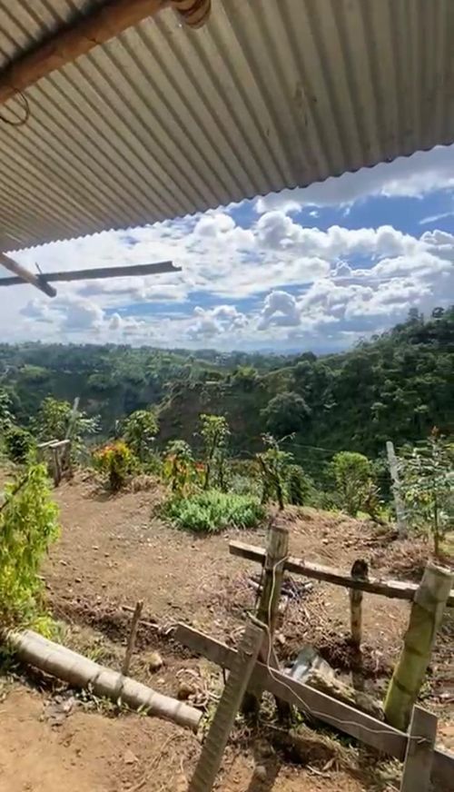Finca en Venta en La bella, Pereira - Miniatura 2