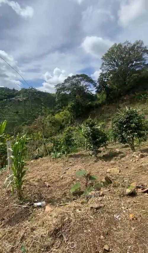 Finca en Venta en La bella, Pereira - Miniatura 3