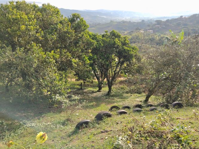 Finca en  Venta en La cumbre - Miniatura 12