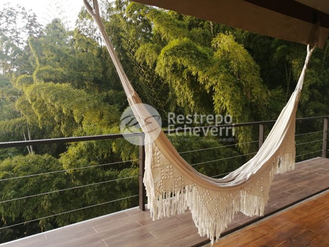 Finca en  Venta en Palermo, Neira - Miniatura 5