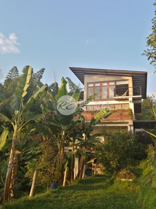 Finca en  Venta en Palermo, Neira - Miniatura 8