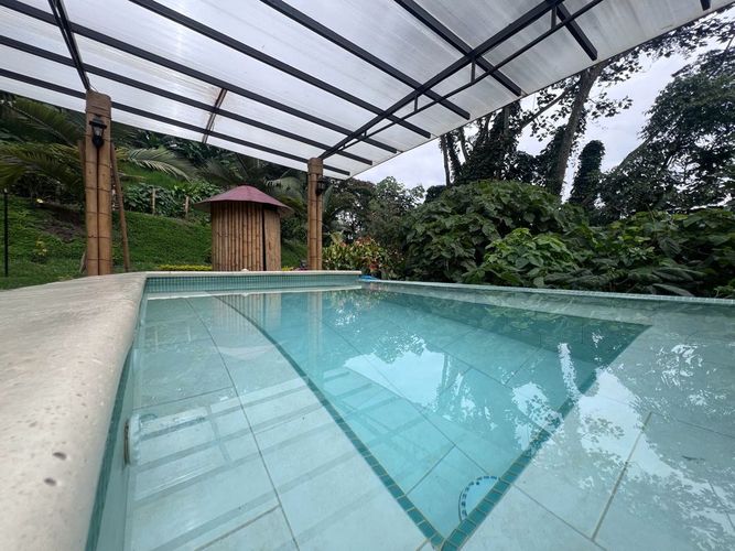 Finca en  Venta en Zaragoza, Manizales - Miniatura 3