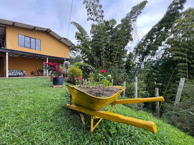 Finca en  Venta en Zaragoza, Manizales - Miniatura 9