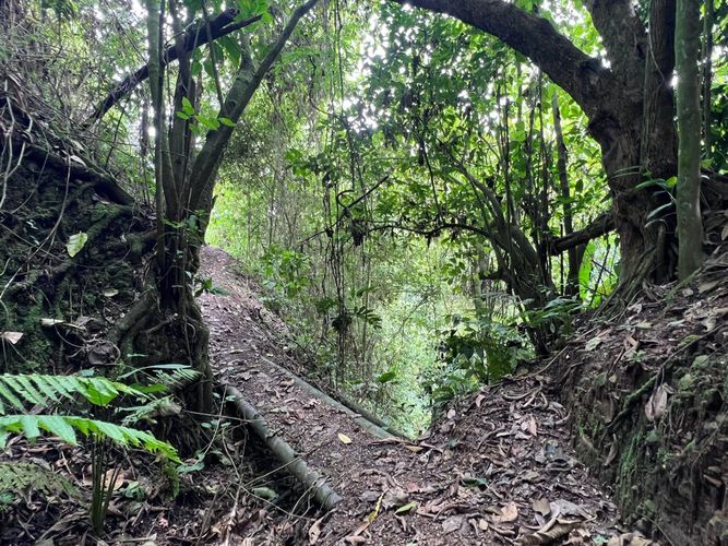 Finca en  Venta en Zaragoza, Manizales - Miniatura 22