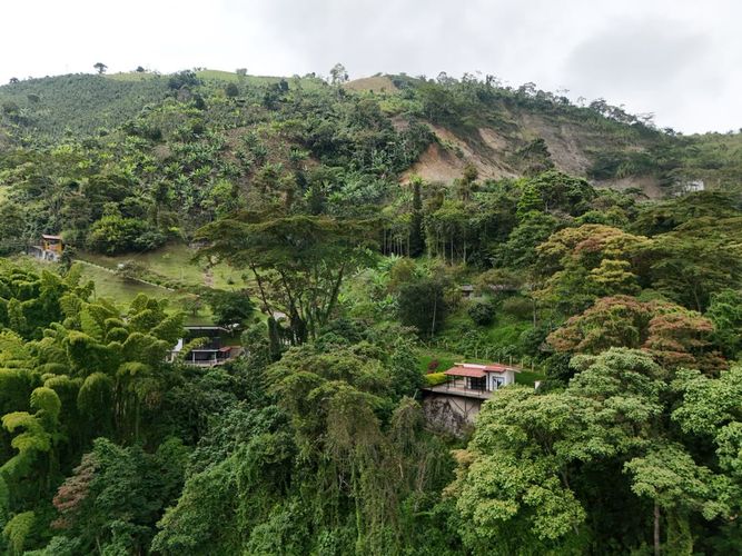 Finca en  Venta en Zaragoza, Manizales - Miniatura 25