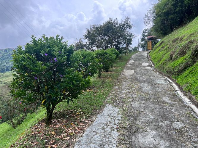 Finca en  Venta en Zaragoza, Manizales - Miniatura 26