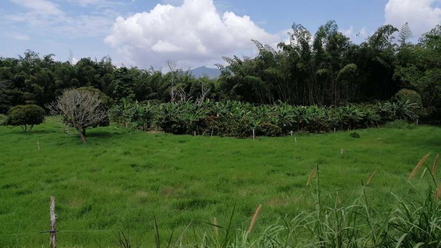 Finca en  Venta en Guaduas - Miniatura 2