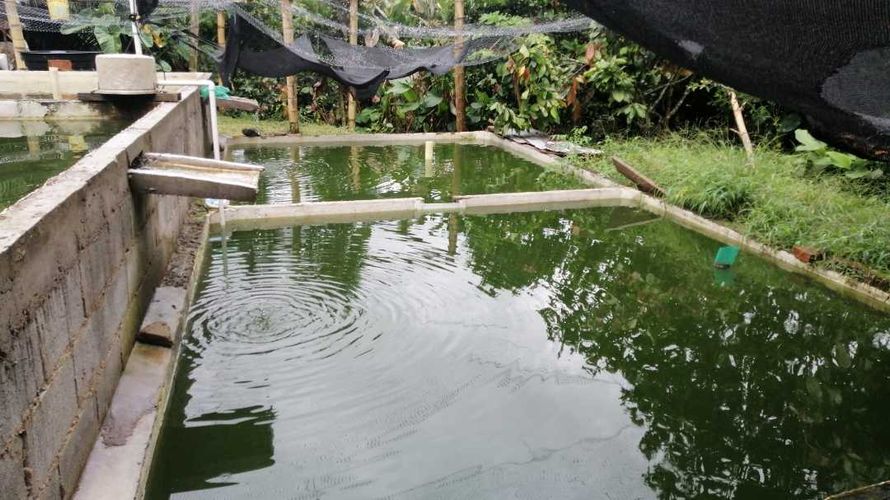 Finca en  Venta en Guaduas - Miniatura 3