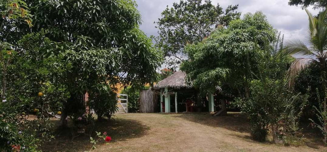 Finca en  Venta en Guaduas - Miniatura 6