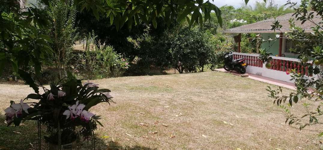 Finca en  Venta en Guaduas - Miniatura 7