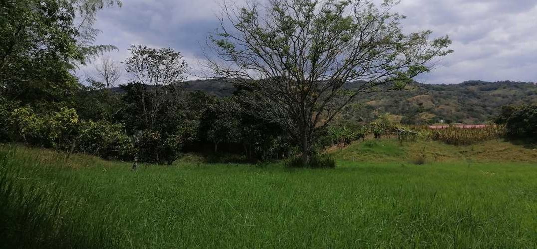 Finca en  Venta en Guaduas - Miniatura 8