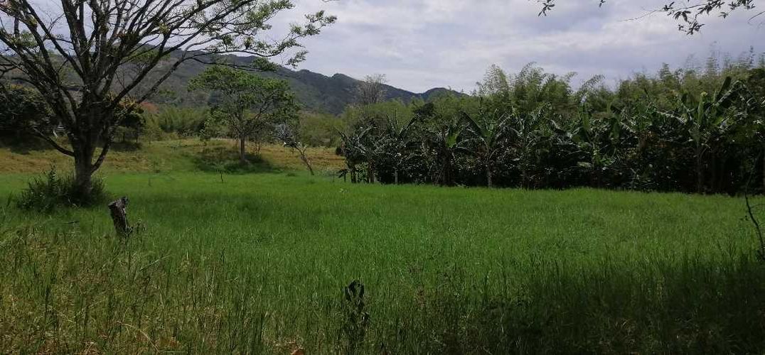 Finca en  Venta en Guaduas - Miniatura 9