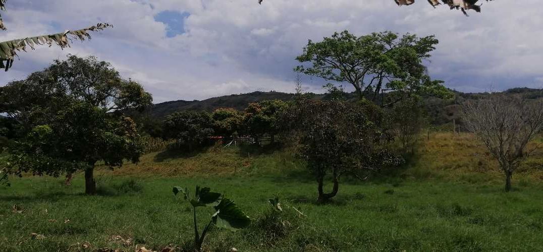 Finca en  Venta en Guaduas - Miniatura 11