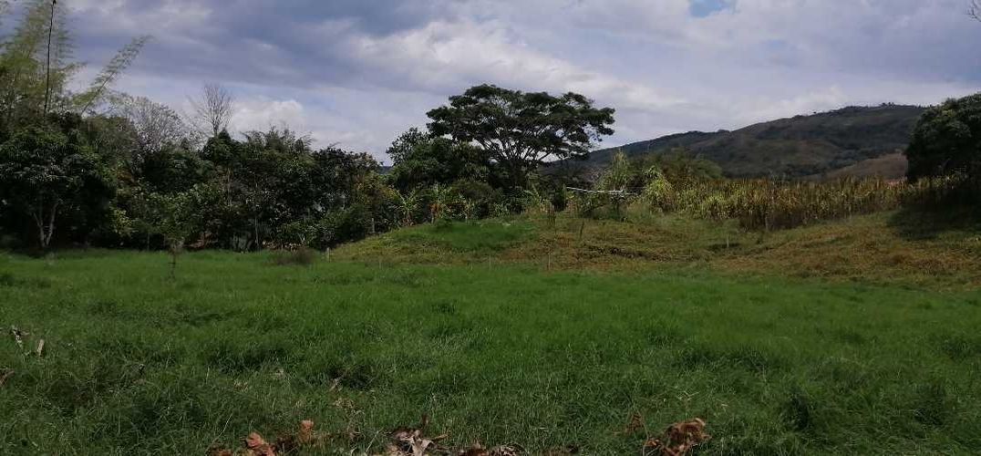 Finca en  Venta en Guaduas - Miniatura 14