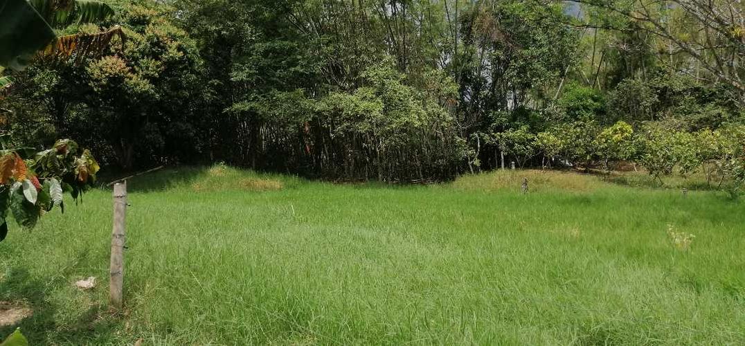 Finca en  Venta en Guaduas - Miniatura 15