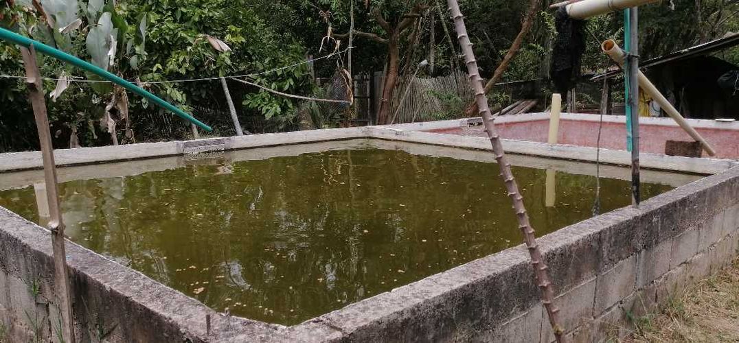 Finca en  Venta en Guaduas - Miniatura 16